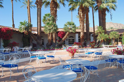 The Olives patio Patio at the Olives